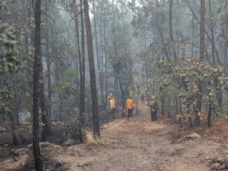 Trabajan 272 combatientes para abatir los siete incendios activos en la entidad