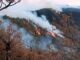 Incendios forestales en Chihuahua afectan más de 5 mil hectáreas